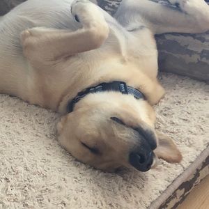 Meet your Posher, Valerie